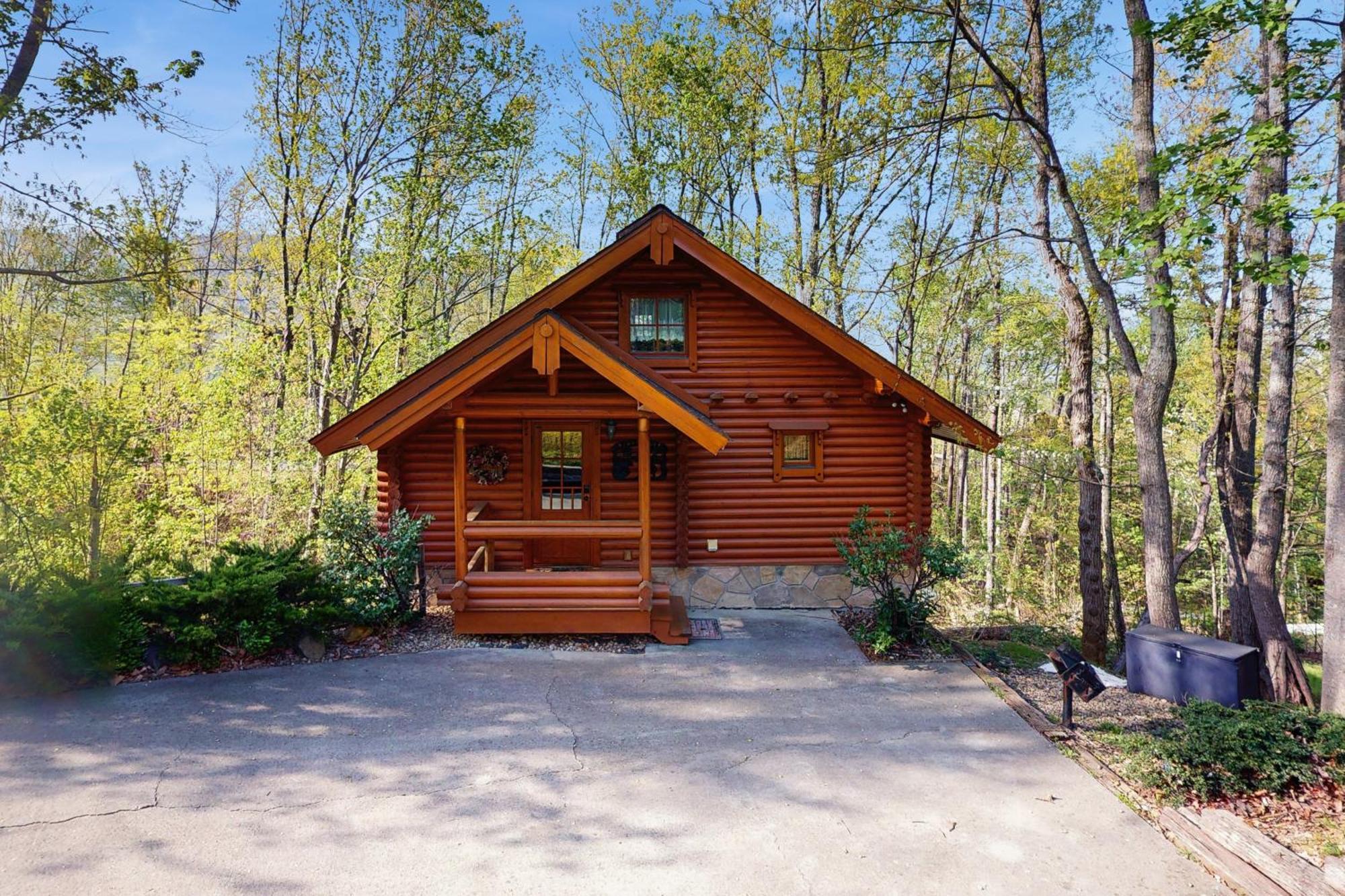 Pine Cone Cabin Гетлинбург Екстериор снимка